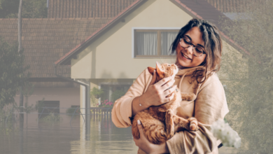 Insuring Your Home Against Natural Damage